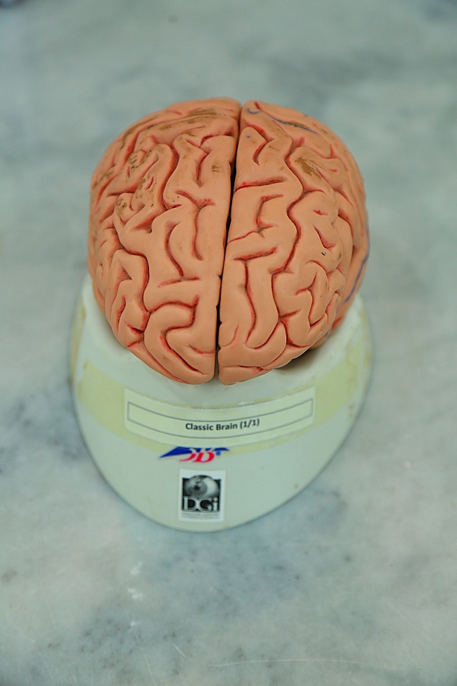 Optimizing Cognitive Function for Peak Performance
