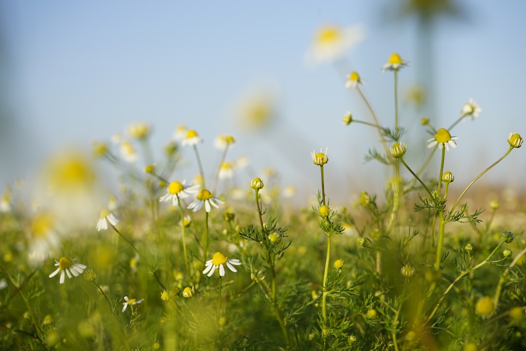 Natural Arthritis Remedies: Effective Relief Without Medication