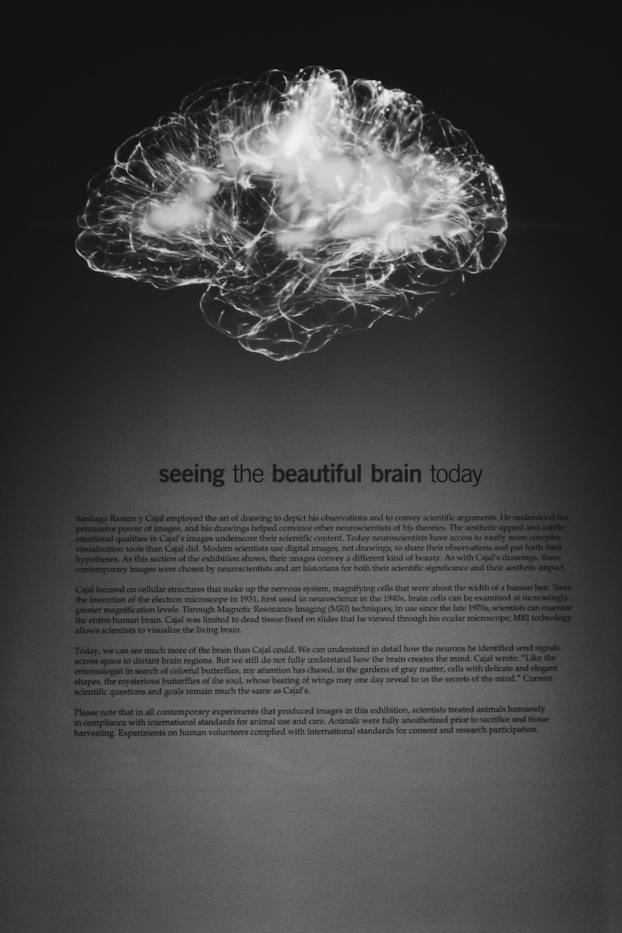 Boost Cognitive Function with These Tips