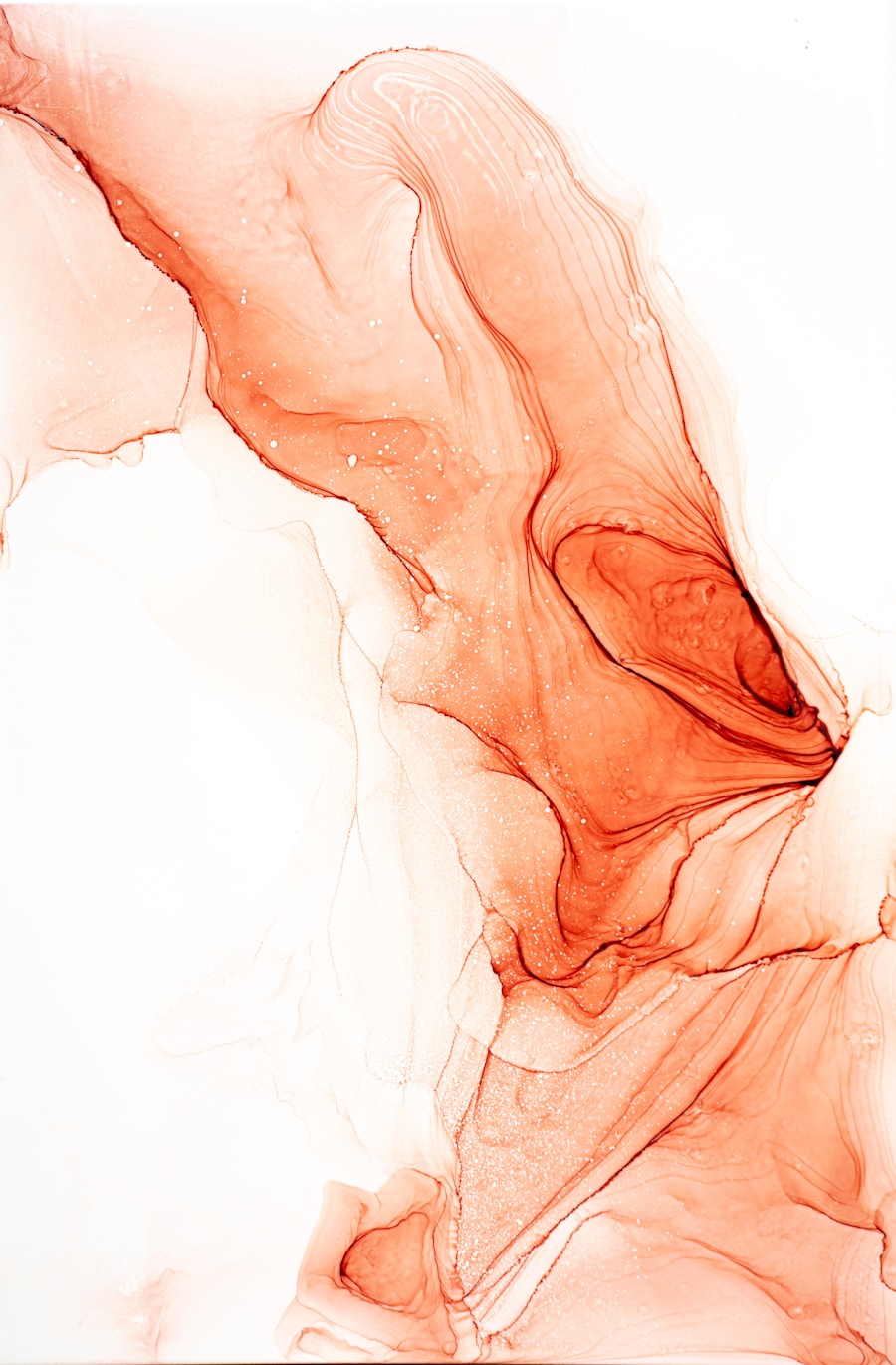 Understanding Pelvic Floor Health