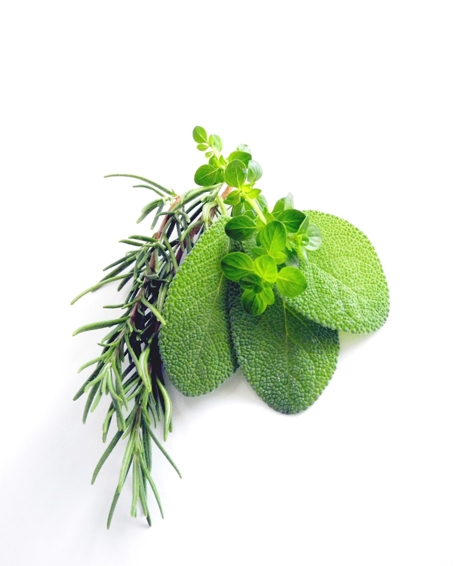 Top Herbs for Effective Weight Loss